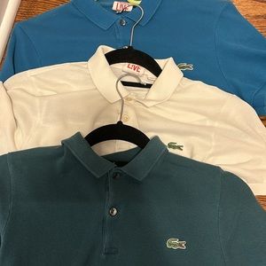 Lacoste Polo Bundle! 3 shirts